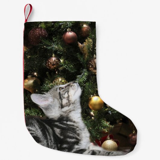 Tabby-Miezekatze Kleiner Weihnachtsstrumpf (Vorderseite)