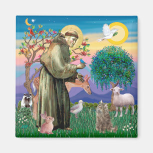 Tabby Norwegische Waldkatze - St. Francis Magnet