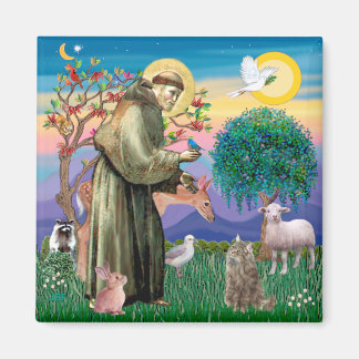 Tabby Norwegische Waldkatze - St. Franziskus Magnet