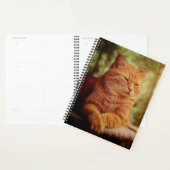 Tabby Planer (Anzeige)