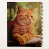 Tabby Planer (Rückseite)