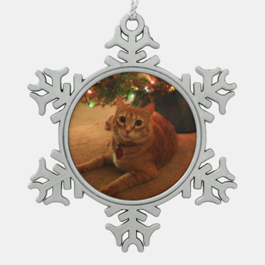 Tabby-Schneeflocke-Verzierung Schneeflocken Zinn-Ornament (Vorderseite)