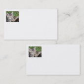 Tabby Sisters Business Cards Visitenkarte (Vorne/Hinten)