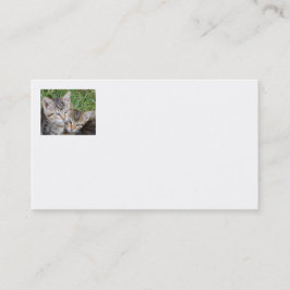 Tabby Sisters Business Cards Visitenkarte
