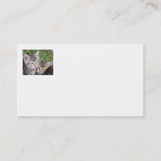 Tabby Sisters Business Cards Visitenkarte (Vorderseite)