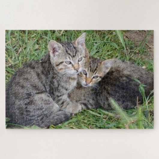 Tabby Sisters Jigsaw Puzzle (Horizontal)