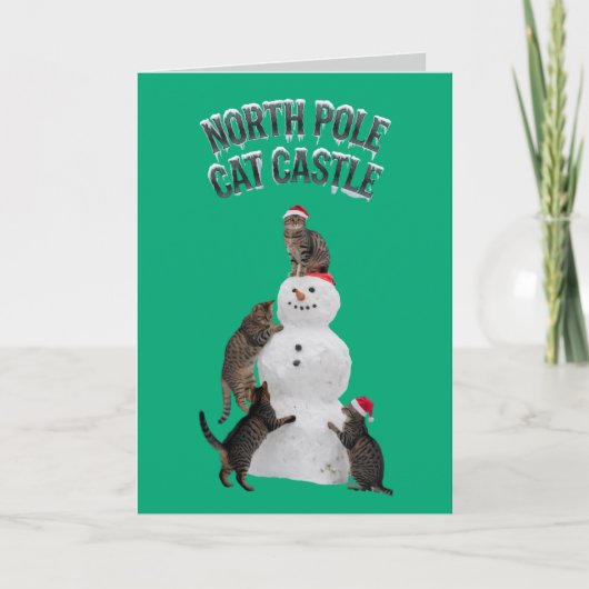 Tabby Snowman 5" x 7" Faltkarte Karte (Vorderseite)