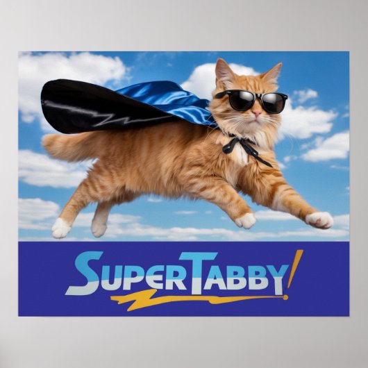 Tabby Superhero Poster (Vorne)