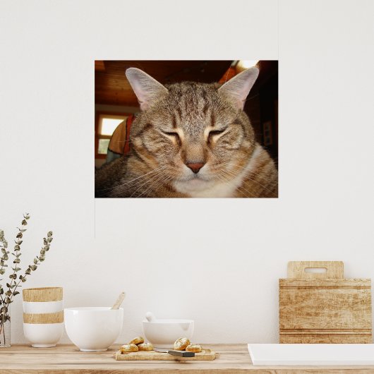 Tabby Tiger Cat Poster (Küche)