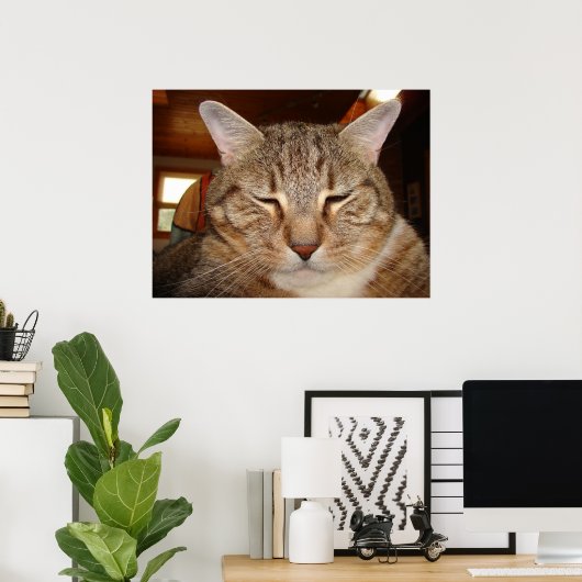 Tabby Tiger Cat Poster (Heimbüro)