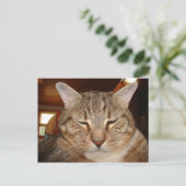Tabby Tiger Cat Postkarte (Stehend Vorderseite)