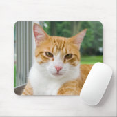 Tabby Time Mousepad (Mit Mouse)