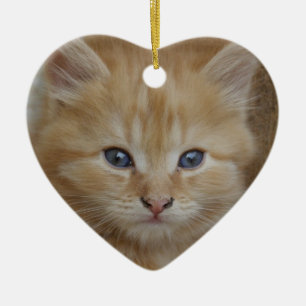 Tabby Tomcat Kitten Keramik Ornament