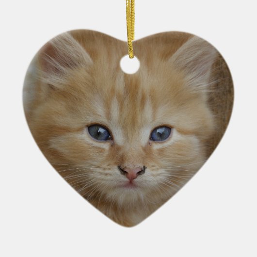 Tabby Tomcat Kitten Keramik Ornament (Vorne)