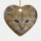 Tabby Tomcat Kitten Keramik Ornament (Hinten)