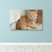 Tabby Tomcat Kitten Leinwanddruck (Insitu (Holzboden))