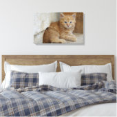 Tabby Tomcat Kitten Leinwanddruck (Insitu (Schlafzimmer))