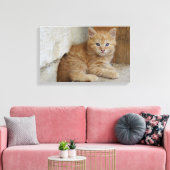 Tabby Tomcat Kitten Leinwanddruck (Insitu (Wohnzimmer))