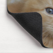 Tabby Tomcat Kitten Mousepad (Ecke)