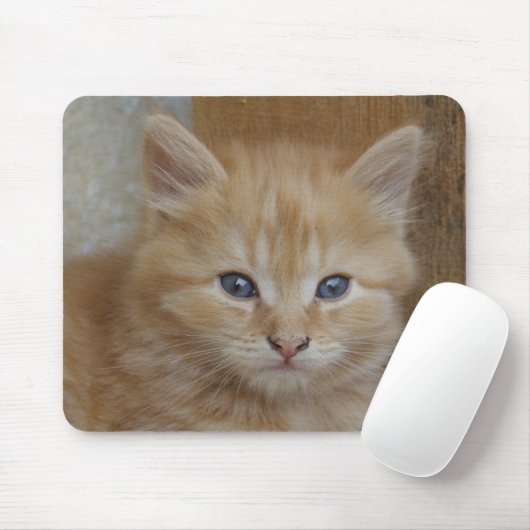 Tabby Tomcat Kitten Mousepad (Mit Mouse)