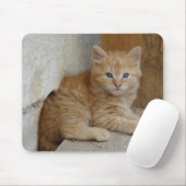 Tabby Tomcat Kitten Mousepad (Mit Mouse)