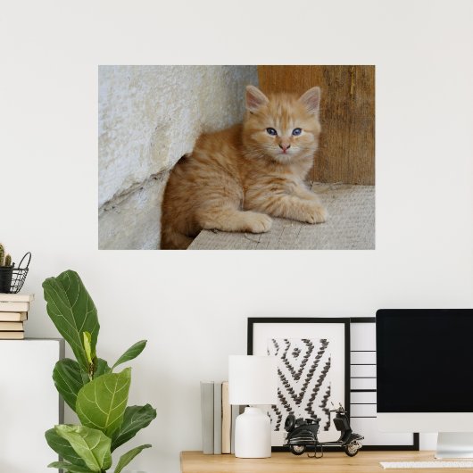 Tabby Tomcat Kitten Poster (Heimbüro)