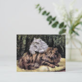 Tabby und Silver Persians Postkarte (Stehend Vorderseite)
