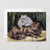 Tabby und Silver Persians Postkarte (Vorne/Hinten)