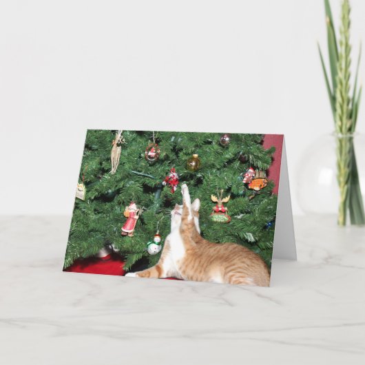 Tabby und Weihnachtsbaum Feiertagskarte (Vorderseite)