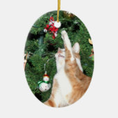 Tabby und Weihnachtsbaum Keramikornament (Vorne)