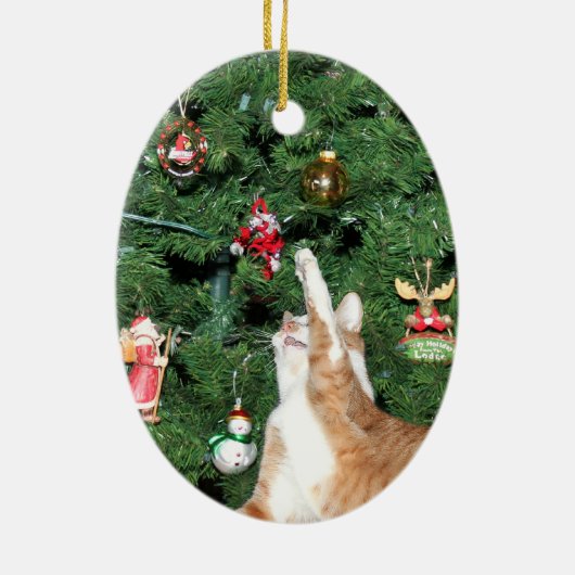 Tabby und Weihnachtsbaum Keramikornament (Hinten)