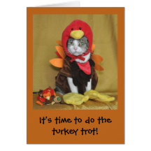 Tabby und weiße Katze Erntedankkarte