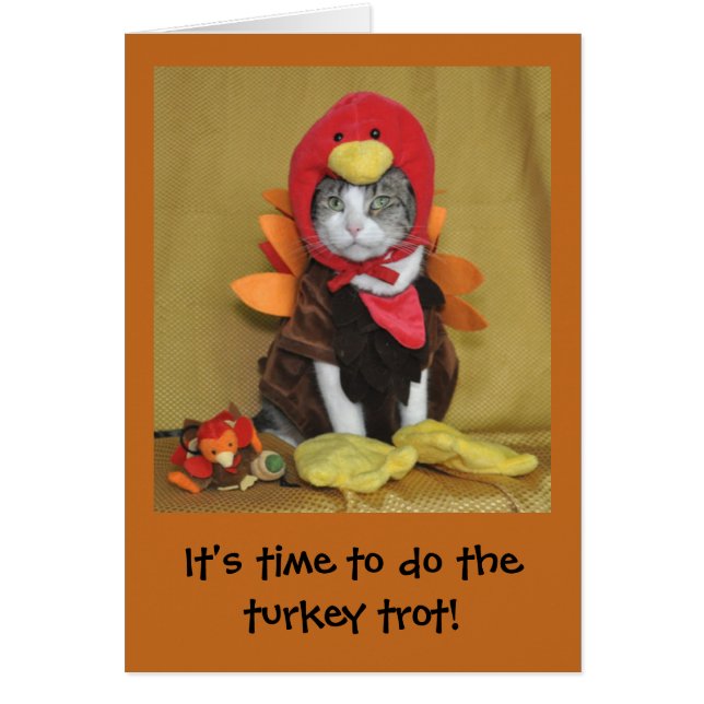 Tabby und weiße Katze Erntedankkarte (Vorne)