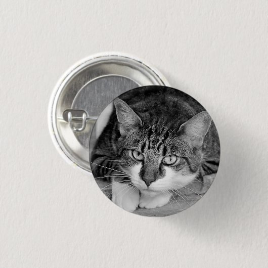 Tabby und White Cat Face Button (Vorne & Hinten)