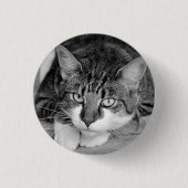 Tabby und White Cat Face Button (Vorderseite)