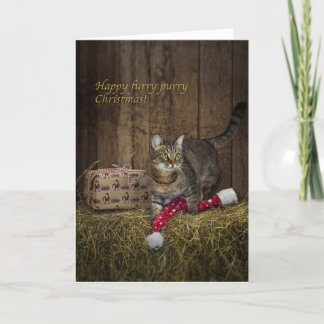 Tabby-Weihnachtskarte Feiertagskarte