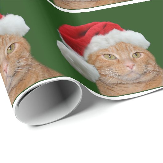 Tabby Weihnachtsmann Geschenkpapier (Rolleneckpunkt)