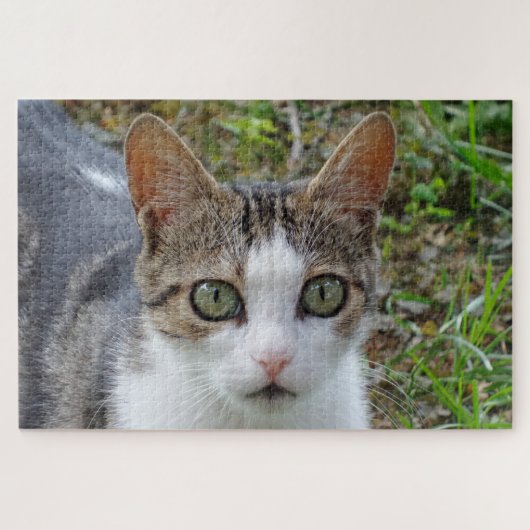 Tabby & White Cat Jigsaw Puzzle (Horizontal)