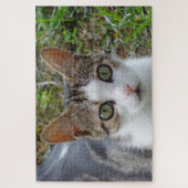 Tabby & White Cat Jigsaw Puzzle (Vertikal)