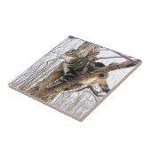 Tabbycat Tile Fliese (Seite)