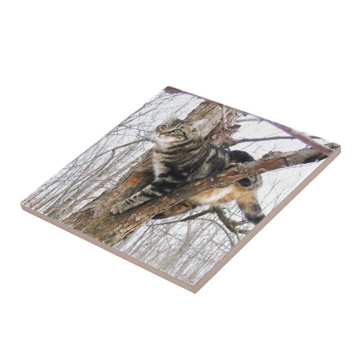 Tabbycat Tile Fliese (Seite)