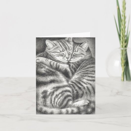 TABBYcat-ZUNEIGUNG Karte (Vorderseite)