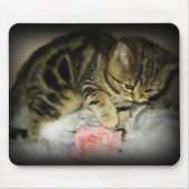 Tabbykätzchen mousepad (Vorne)