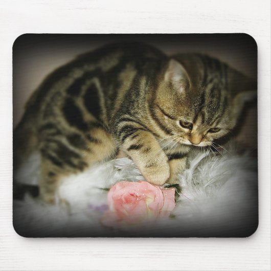 Tabbykätzchen mousepad (Vorne)