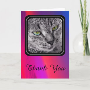 Tabbykatze danken Ihnen, - Blendungsrosa zu Dankeskarte
