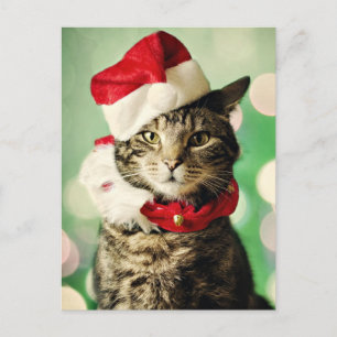 Tabbykatze, die einen Weihnachtshut und -kragen Feiertagspostkarte