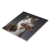 Tabbykatze, die karierten Bogen trägt Fliese (Seite)