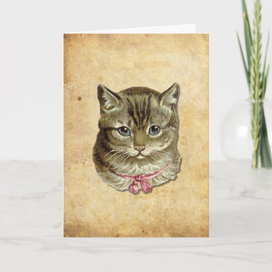 Tabbykatze Karte (Vorderseite)