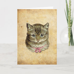 Tabbykatze Karte