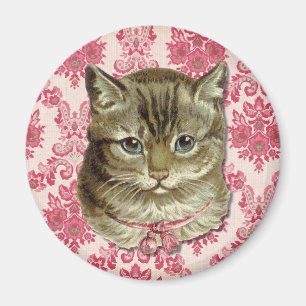 Tabbykatze Magnet